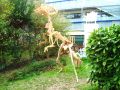 l-mansouri-dit-wari - Dino N'KODSO