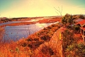 l-mansouri-dit-wari - PHOTOS (Volume 2)