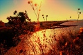 l-mansouri-dit-wari - PHOTOS (Volume 2)