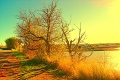 l-mansouri-dit-wari - PHOTOS (Volume 2)