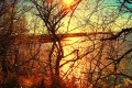 l-mansouri-dit-wari - PHOTOS (Volume 2)