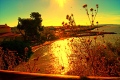 l-mansouri-dit-wari - PHOTOS (Volume 2)