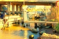 l-mansouri-dit-wari - PHOTOS (Volume 2)