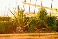 l-mansouri-dit-wari - PHOTOS (Volume 2)