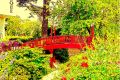 Petit pont de la bibliothéque. - PAYSAGES RUSTIQUES