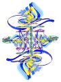 l-mansouri-dit-wari - Calligraphie wariene