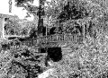 l-mansouri-dit-wari - LES DESSINS